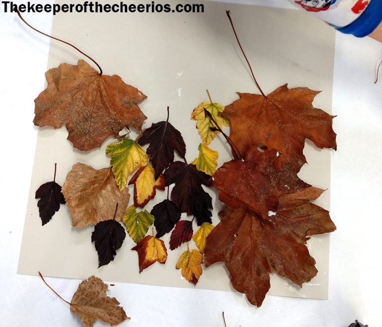 Leaf Turkeys - The Keeper of the Cheerios