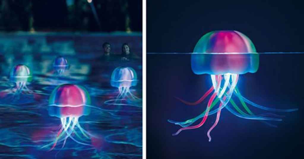 pool jellyfish